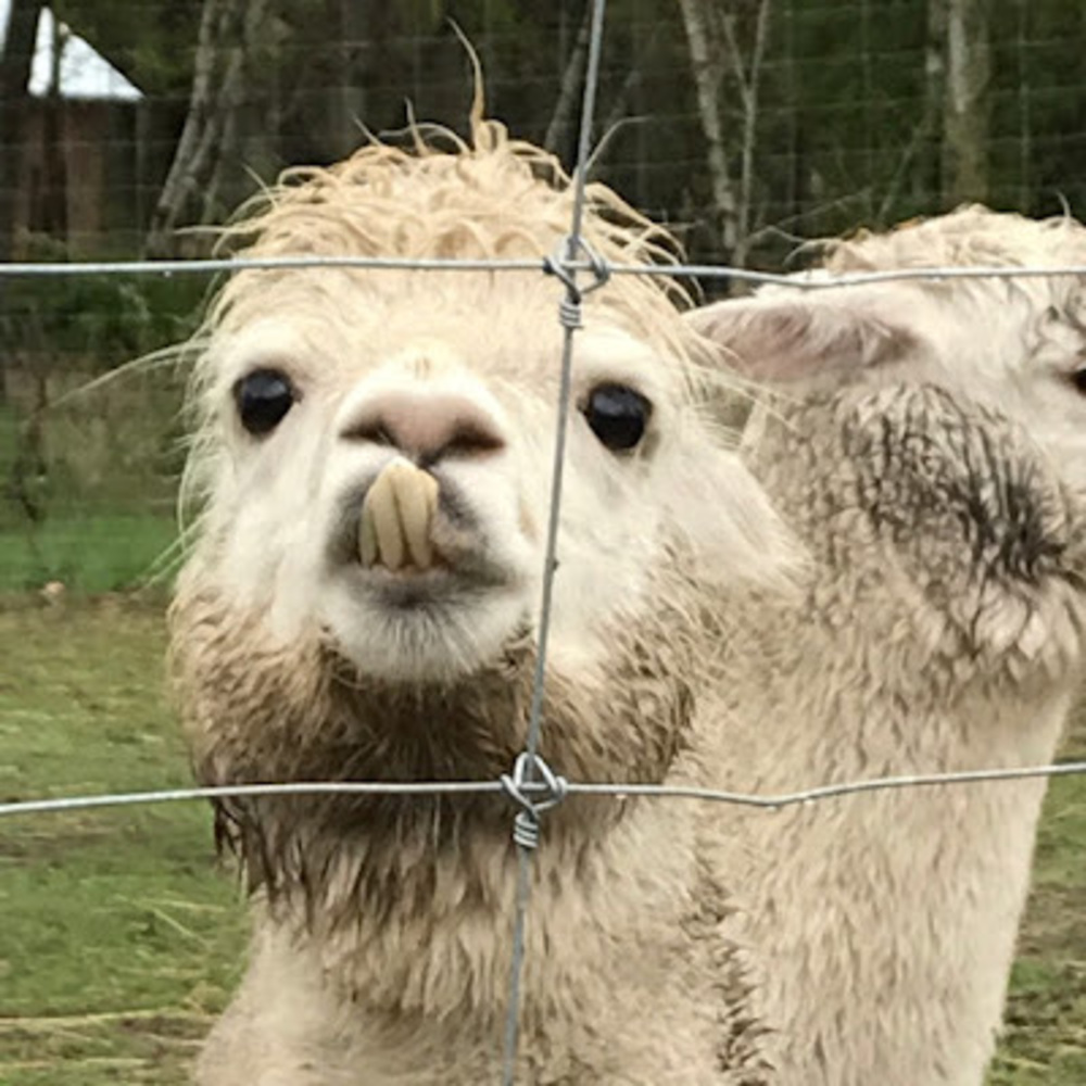 Meet your Posher, Jackie